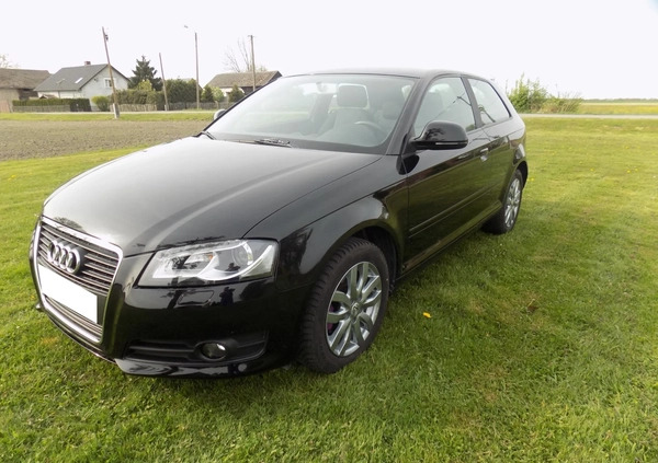 Audi A3 cena 20900 przebieg: 154000, rok produkcji 2009 z Szprotawa małe 497